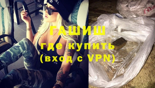 дмт Бородино