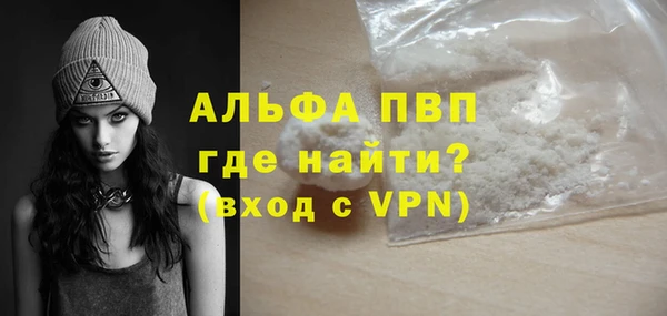 дмт Бородино