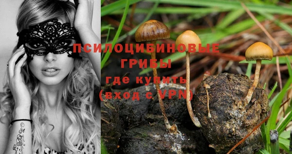 дмт Бородино