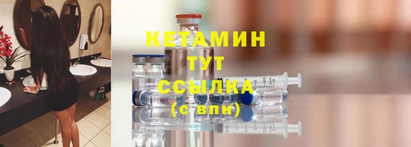 дмт Бородино