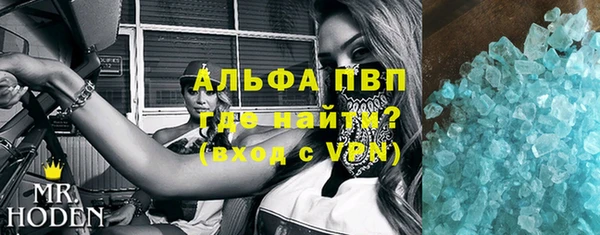 дмт Бородино