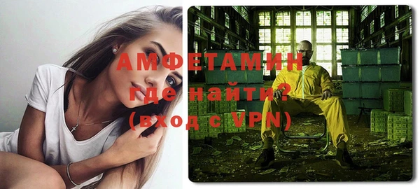 дмт Бородино