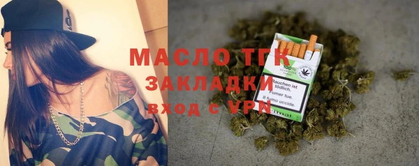 дмт Бородино